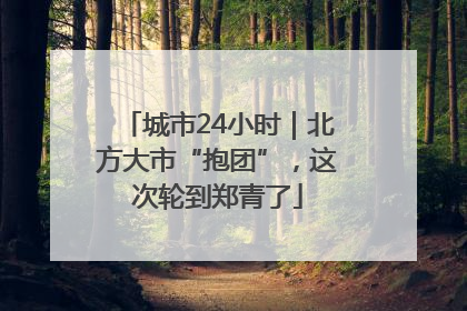 城市24小时｜北方大市“抱团”，这次轮到郑青了