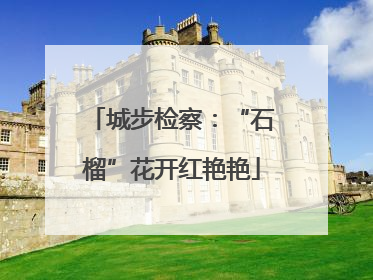 城步检察：“石榴”花开红艳艳