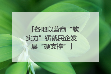 各地以营商“软实力”铸就民企发展“硬支撑”
