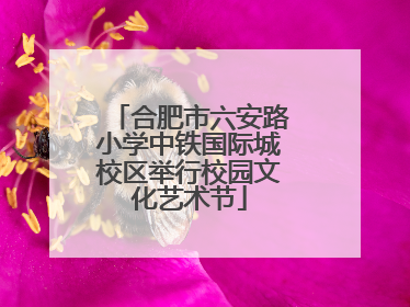 合肥市六安路小学中铁国际城校区举行校园文化艺术节