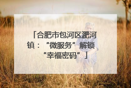 合肥市包河区淝河镇：“微服务”解锁“幸福密码”