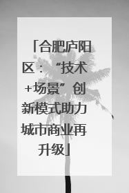 合肥庐阳区：“技术+场景”创新模式助力城市商业再升级