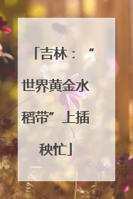 吉林：“世界黄金水稻带”上插秧忙