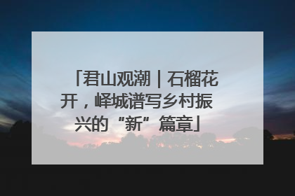 君山观潮｜石榴花开，峄城谱写乡村振兴的“新”篇章