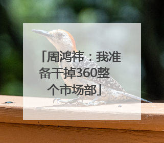 周鸿祎：我准备干掉360整个市场部