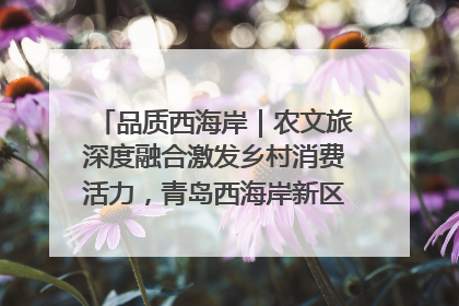 品质西海岸｜农文旅深度融合激发乡村消费活力，青岛西海岸新区的乡村振兴实践