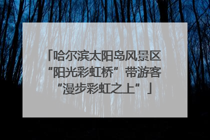 哈尔滨太阳岛风景区“阳光彩虹桥”带游客“漫步彩虹之上”