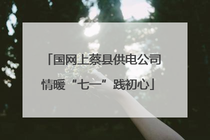 国网上蔡县供电公司情暖“七一”践初心
