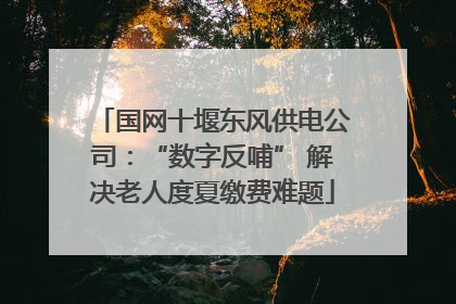 国网十堰东风供电公司：“数字反哺” 解决老人度夏缴费难题