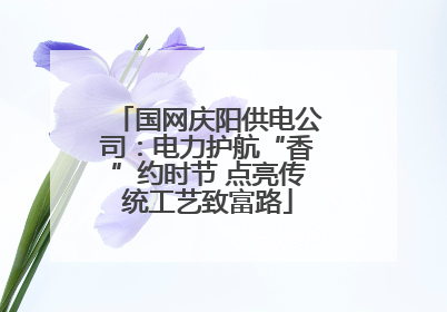 国网庆阳供电公司：电力护航“香”约时节 点亮传统工艺致富路