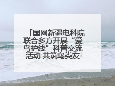 国网新疆电科院联合多方开展“爱鸟护线”科普交流活动 共筑鸟类友好城市