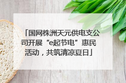 国网株洲天元供电支公司开展“e起节电”惠民活动，共筑清凉夏日
