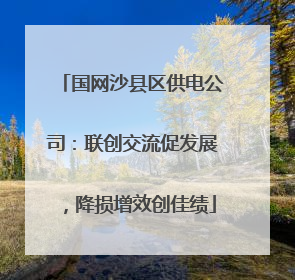国网沙县区供电公司：联创交流促发展，降损增效创佳绩