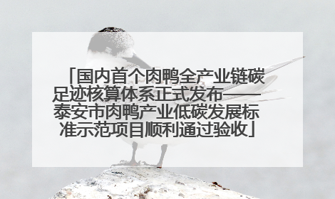 国内首个肉鸭全产业链碳足迹核算体系正式发布——泰安市肉鸭产业低碳发展标准示范项目顺利通过验收