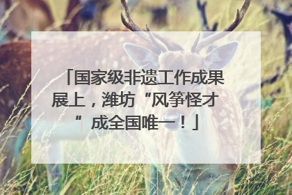 国家级非遗工作成果展上，潍坊“风筝怪才”成全国唯一！