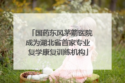 国药东风茅箭医院成为湖北省首家专业复学康复训练机构