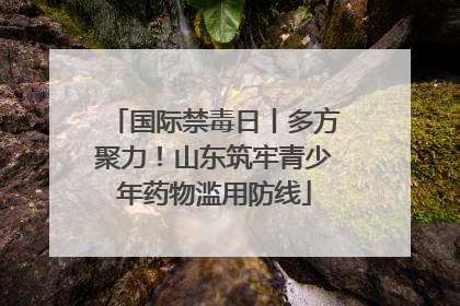 国际禁毒日丨多方聚力！山东筑牢青少年药物滥用防线