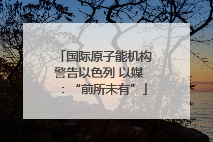 国际原子能机构警告以色列 以媒：“前所未有”