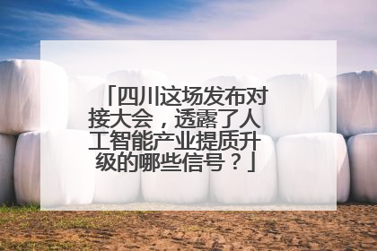 四川这场发布对接大会，透露了人工智能产业提质升级的哪些信号？