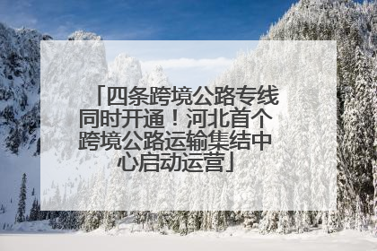 四条跨境公路专线同时开通！河北首个跨境公路运输集结中心启动运营