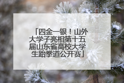 四金一银！山外大学子亮相第十五届山东省高校大学生跆拳道公开赛