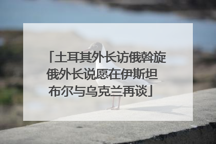 土耳其外长访俄斡旋 俄外长说愿在伊斯坦布尔与乌克兰再谈