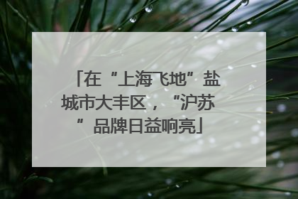 在“上海飞地”盐城市大丰区，“沪苏”品牌日益响亮