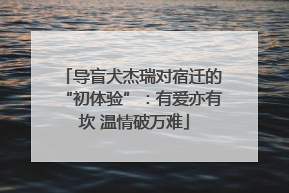 导盲犬杰瑞对宿迁的“初体验”：有爱亦有坎 温情破万难