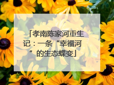 孝南陈家河重生记：一条“幸福河”的生态蝶变