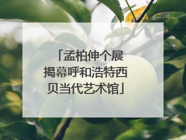 孟柏伸个展 揭幕呼和浩特西贝当代艺术馆