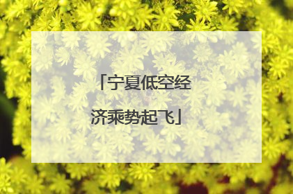 宁夏低空经济乘势起飞