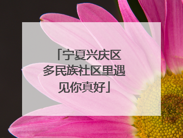 宁夏兴庆区 多民族社区里遇见你真好