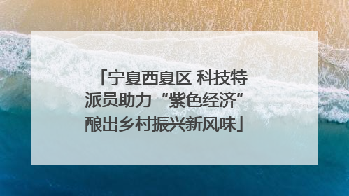 宁夏西夏区 科技特派员助力“紫色经济”酿出乡村振兴新风味