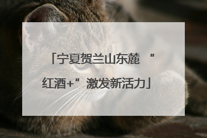 宁夏贺兰山东麓 “红酒+”激发新活力
