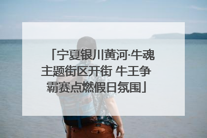宁夏银川黄河·牛魂主题街区开街 牛王争霸赛点燃假日氛围