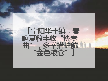 宁阳华丰镇：奏响夏粮丰收“协奏曲”，多举措护航“金色粮仓”