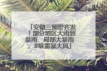 安徽三预警齐发！部分地区大雨到暴雨、局部大暴雨、8级雷暴大风