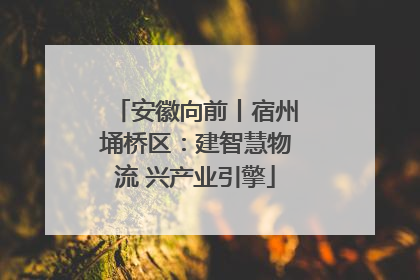 安徽向前丨宿州埇桥区：建智慧物流 兴产业引擎