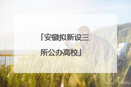 安徽拟新设三所公办高校