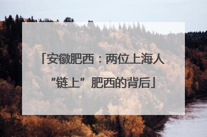 安徽肥西：两位上海人“链上”肥西的背后