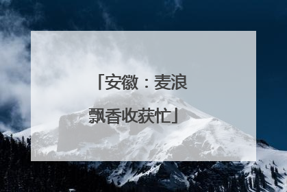 安徽：麦浪飘香收获忙
