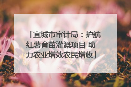 宜城市审计局：护航红薯育苗灌溉项目 助力农业增效农民增收