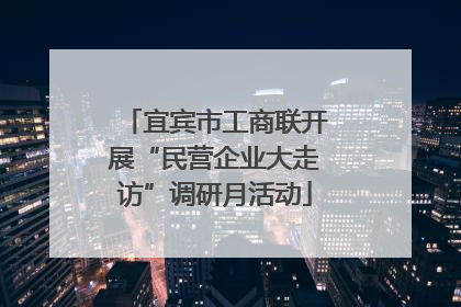 宜宾市工商联开展“民营企业大走访”调研月活动