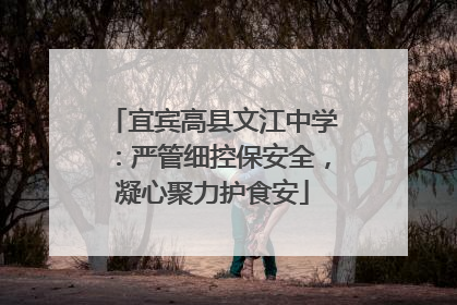 宜宾高县文江中学：严管细控保安全，凝心聚力护食安