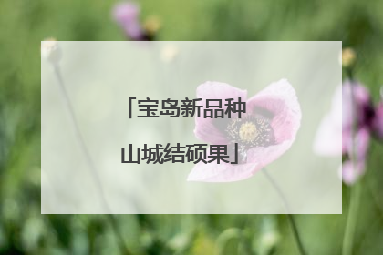 宝岛新品种 山城结硕果