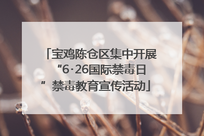 宝鸡陈仓区集中开展“6･26国际禁毒日”禁毒教育宣传活动