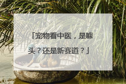 宠物看中医，是噱头？还是新赛道？