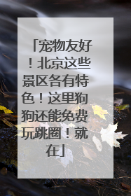 宠物友好！北京这些景区各有特色！这里狗狗还能免费玩跳圈！就在