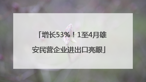 增长53%！1至4月雄安民营企业进出口亮眼