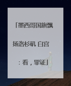 墨西哥国旗飘扬洛杉矶 白宫：看，罪证